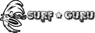 EN/PT-BR] Surfguru DAO Surf, earn money and drive global